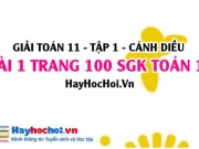 Giải bài 1 trang 100 Toán 11 tập 1 SGK Cánh Diều
